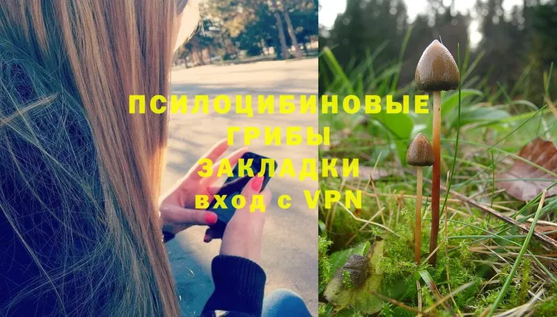 shop наркотические препараты  Игра  Псилоцибиновые грибы Cubensis 